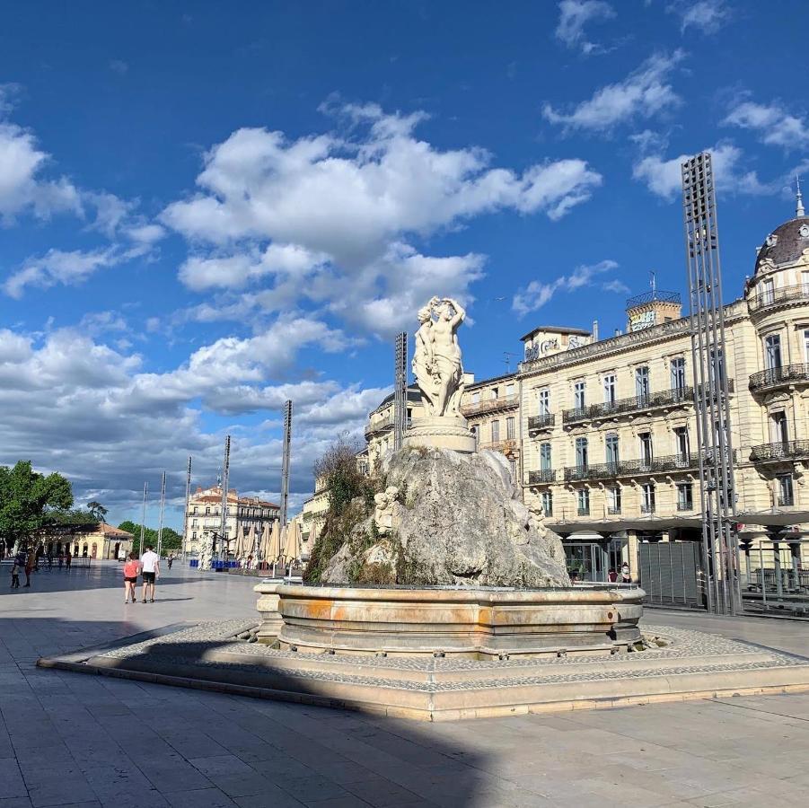 Home Chic Home - La Terrasse Bazille - Netflix Montpellier Exterior foto