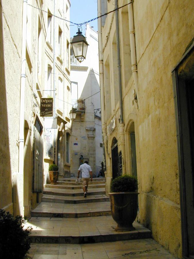 Home Chic Home - La Terrasse Bazille - Netflix Montpellier Exterior foto